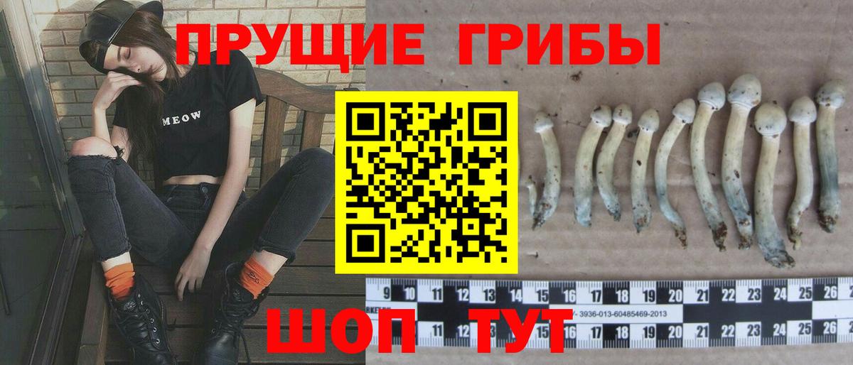 Галлюциногенные грибы Magic Shrooms  Галлюциногенные грибы GOLDEN TEACHER  Кисловодск  Вход с VPN 